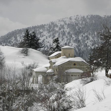 Guesthouse Theodorou Eláti エクステリア 写真