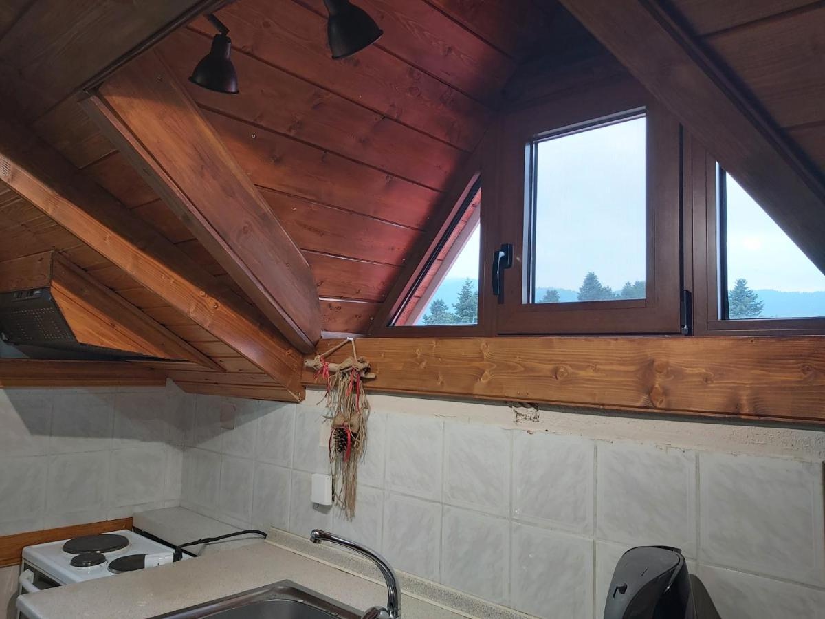 Guesthouse Theodorou Eláti エクステリア 写真