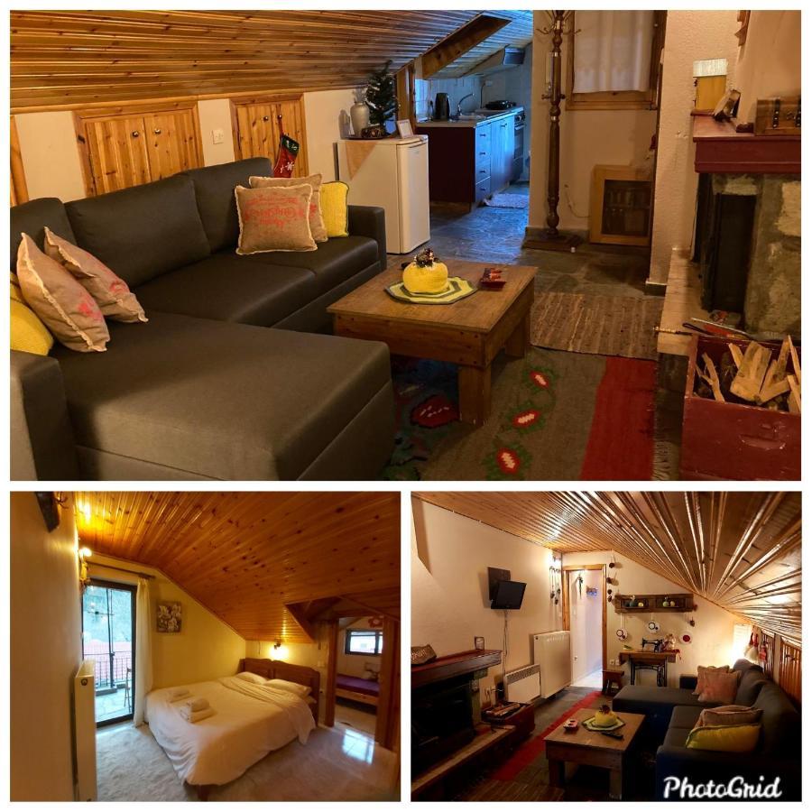 Guesthouse Theodorou Eláti エクステリア 写真