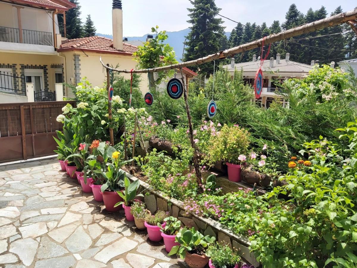 Guesthouse Theodorou Eláti エクステリア 写真