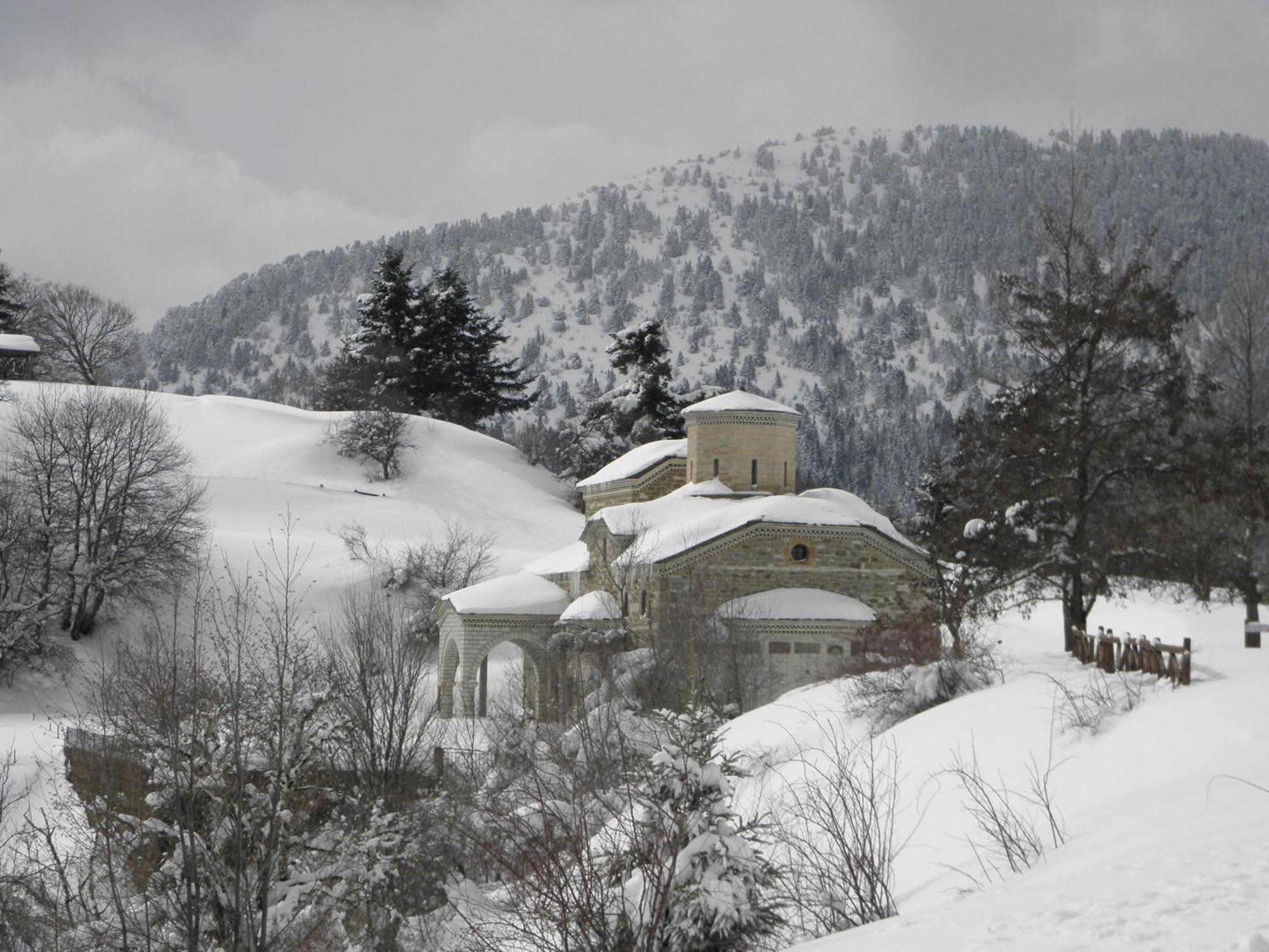 Guesthouse Theodorou Eláti エクステリア 写真