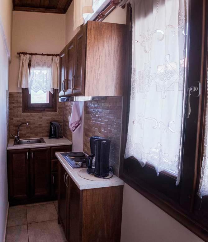 Guesthouse Theodorou Eláti エクステリア 写真