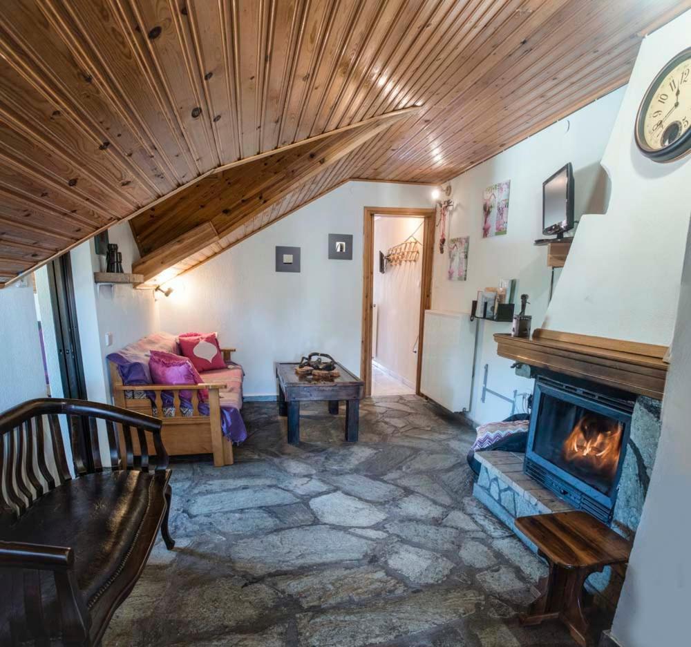 Guesthouse Theodorou Eláti エクステリア 写真