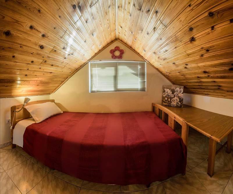 Guesthouse Theodorou Eláti エクステリア 写真